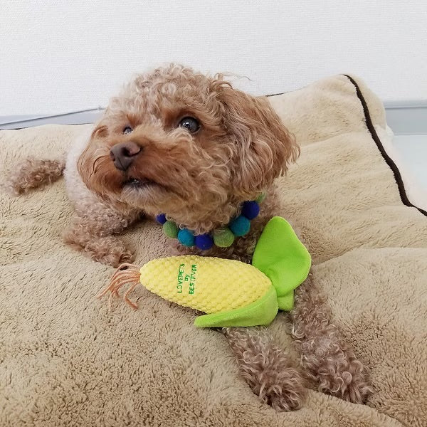 玉米紓壓咬咬玩具