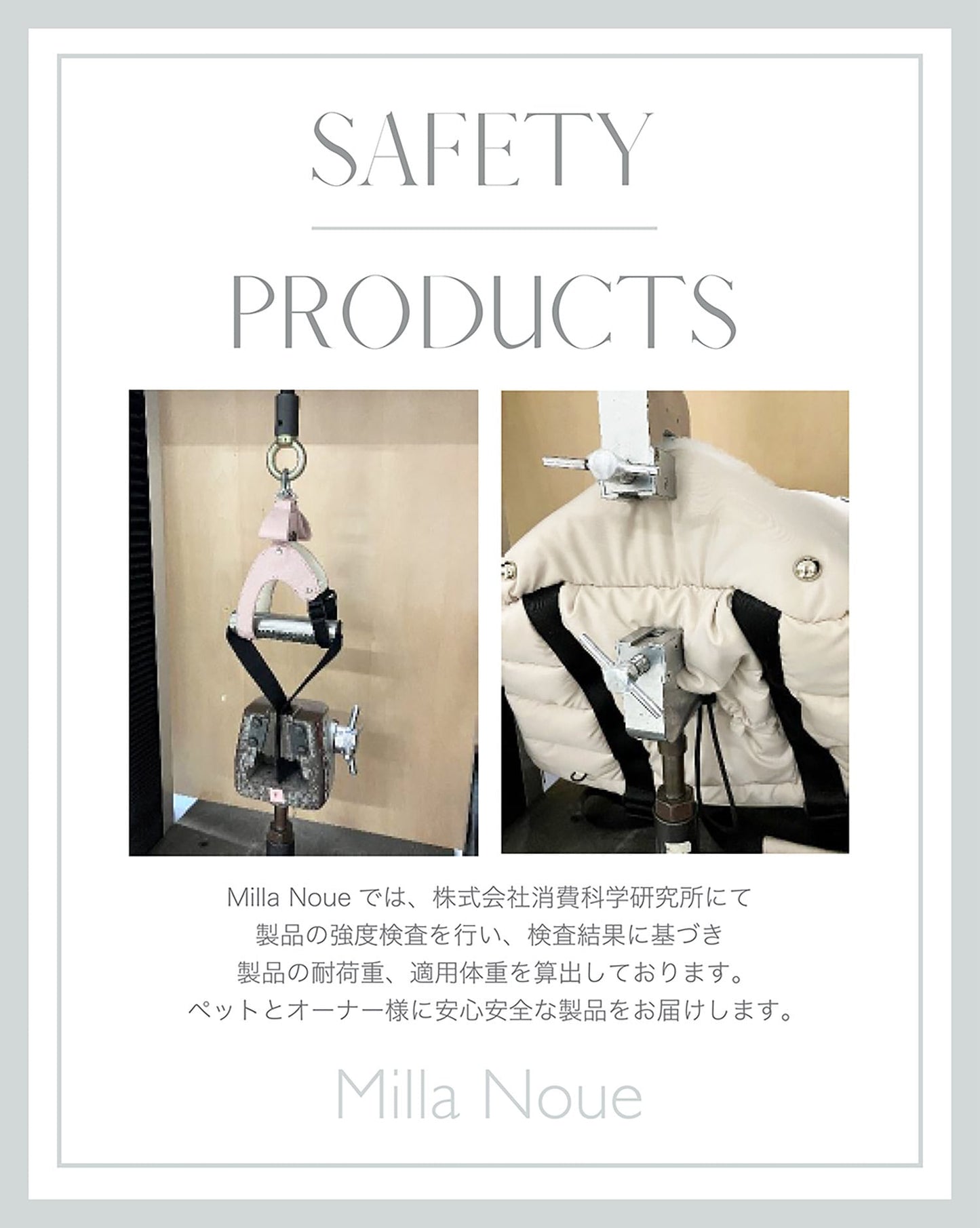 【預購商品】夏涼寵愛全透氣網眼寵物揹帶