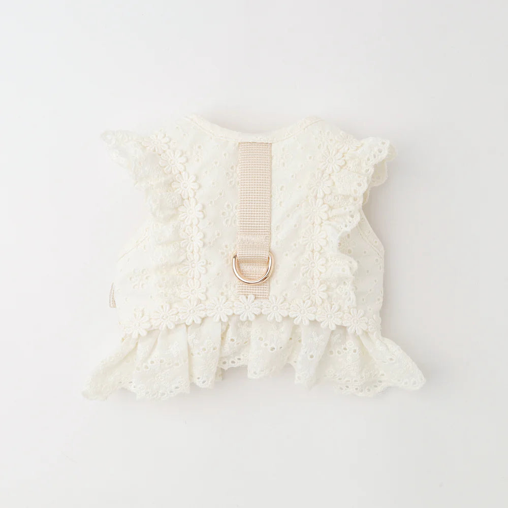 柔棉蕾絲透氣胸背帶+牽繩SET