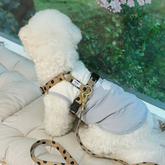 Y型胸背帶 Chocolat