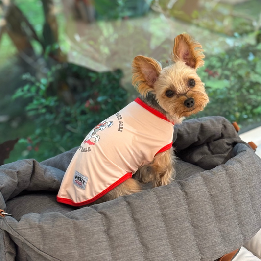 小小運動員夏日涼感背心