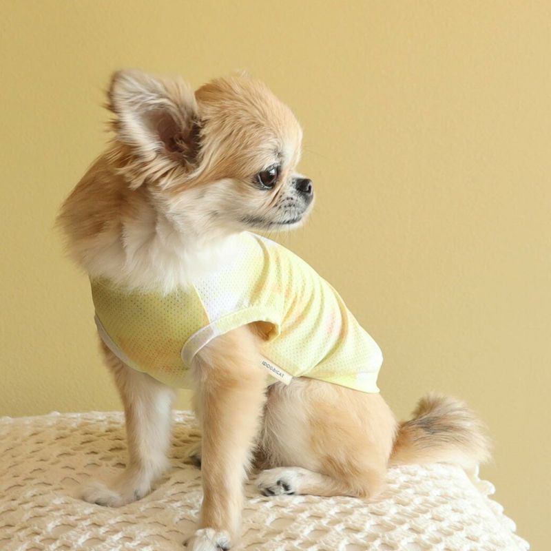 沁涼驅蚊小戰衣