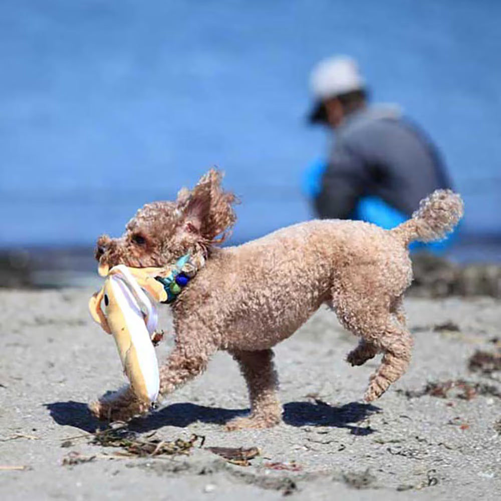 巨大魷魚造型玩具