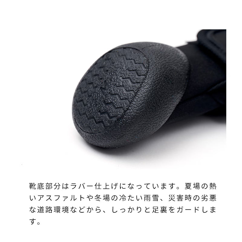 雙織帶寵物機能休閒鞋