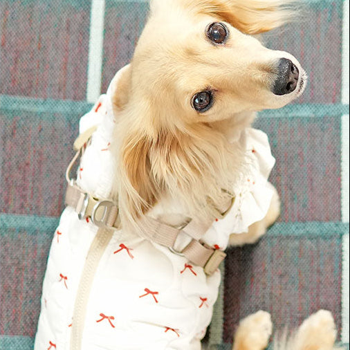 潑水&防髒暖絨外套式胸背帶