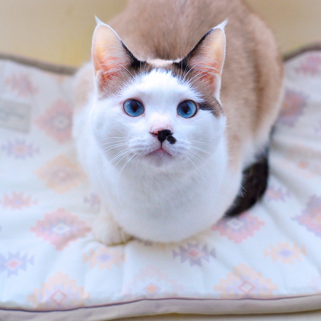 日本IDOG&ICAT寵物舒涼凝膠墊