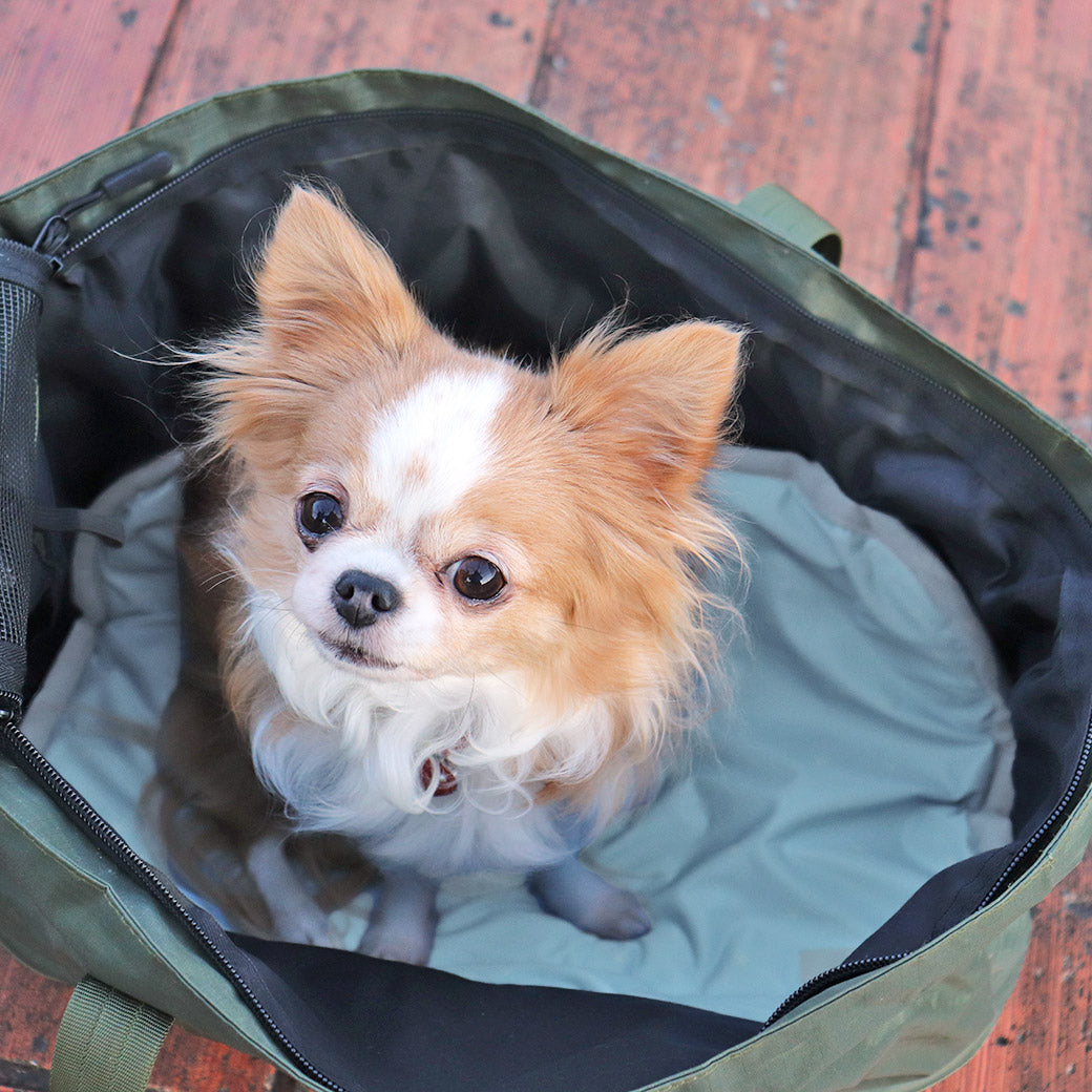 日本IDOG&ICAT寵物舒涼凝膠墊