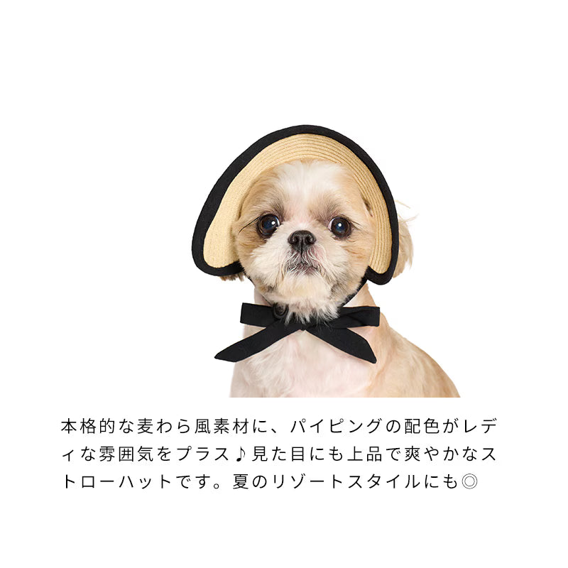 夏日防曬透氣寵物草編帽