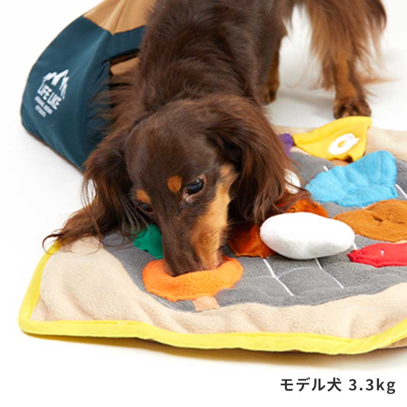 露營主題嗅聞玩具組