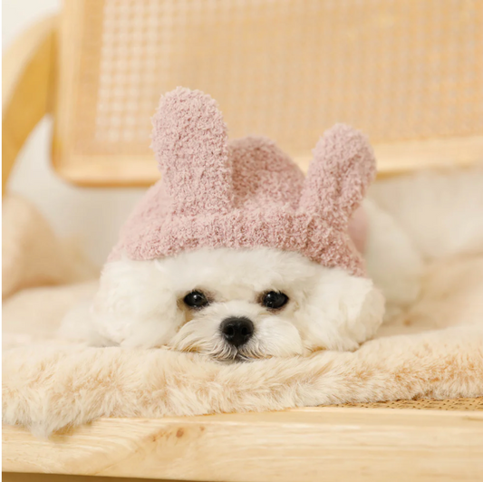 moncheri兎兎變裝毛衣