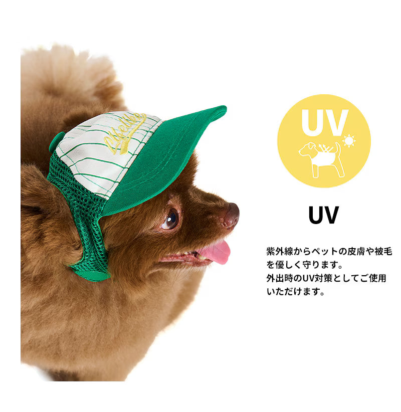 透氣網眼刺繡棒球帽