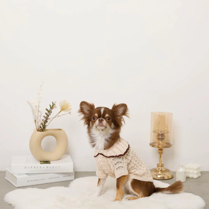 荷葉領扇紋針織寵物上衣