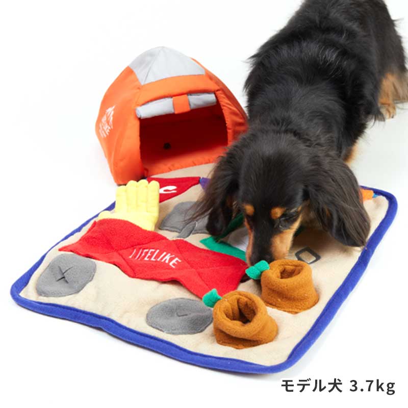 露營主題嗅聞玩具組