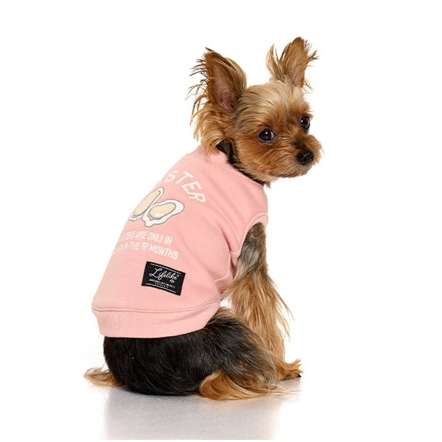 秋冬味立體刺繡寵物上衣