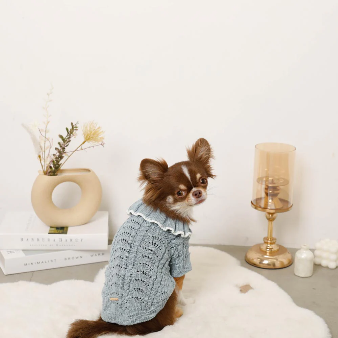 荷葉領扇紋針織寵物上衣