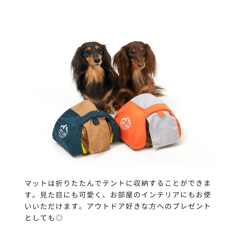 露營主題嗅聞玩具組