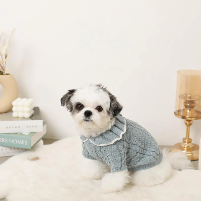 荷葉領扇紋針織寵物上衣