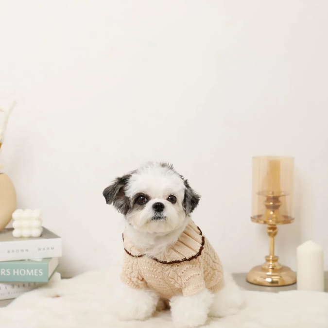 荷葉領扇紋針織寵物上衣