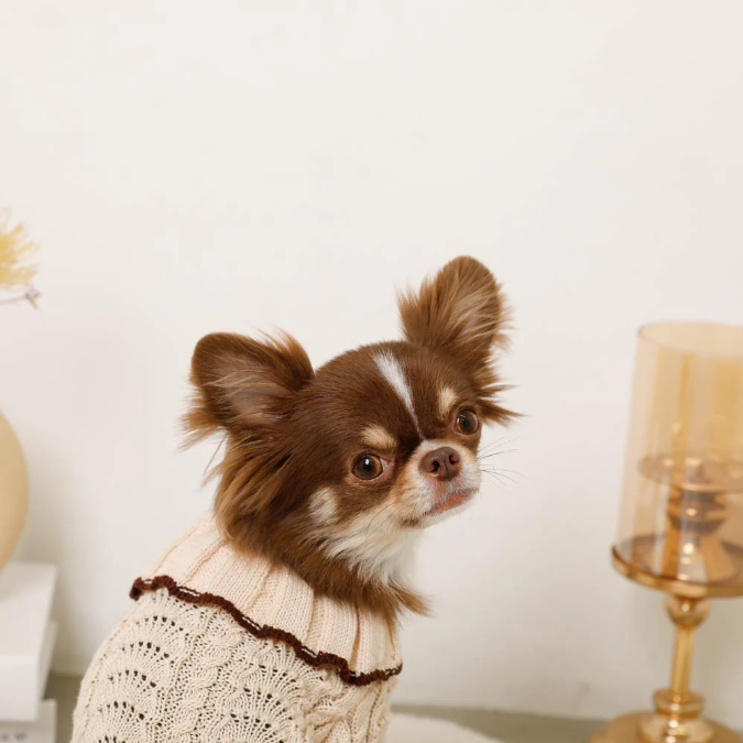 荷葉領扇紋針織寵物上衣