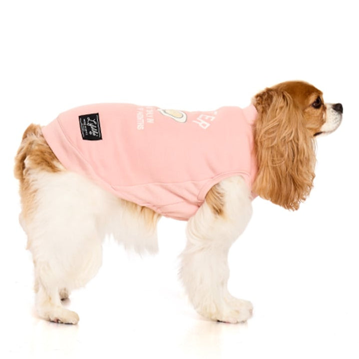 秋冬味立體刺繡寵物上衣