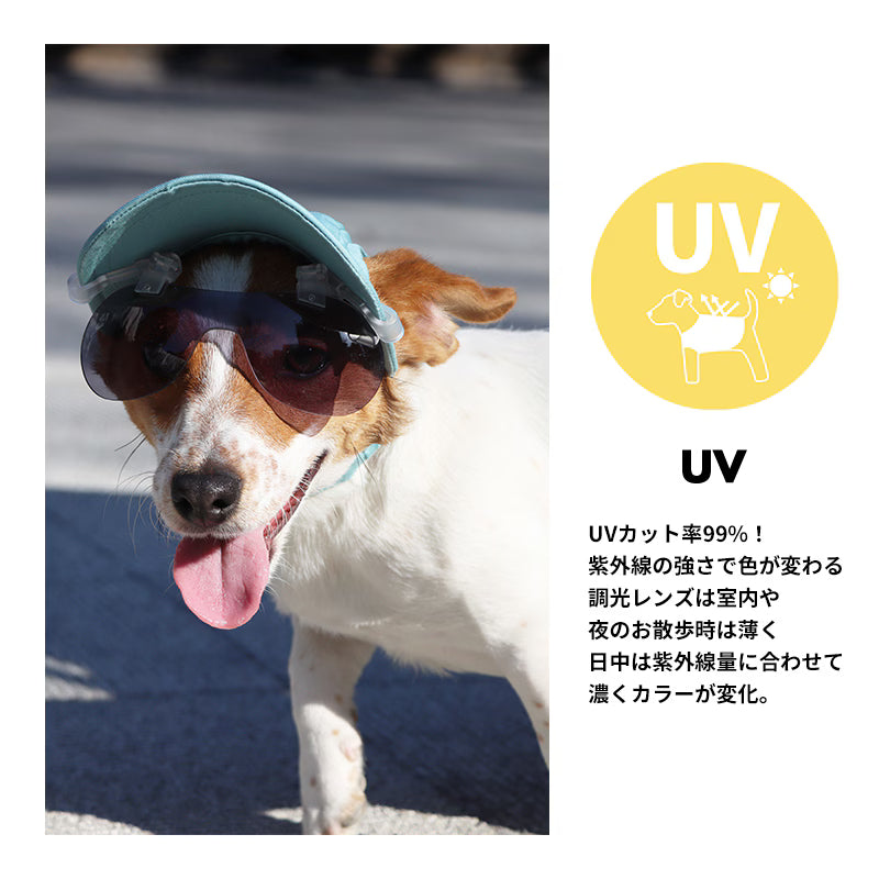 可夾式感光變色抗UV太陽眼鏡