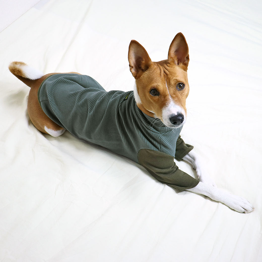 柔感條紋高領長袖寵物服