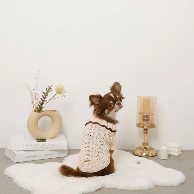 荷葉領扇紋針織寵物上衣
