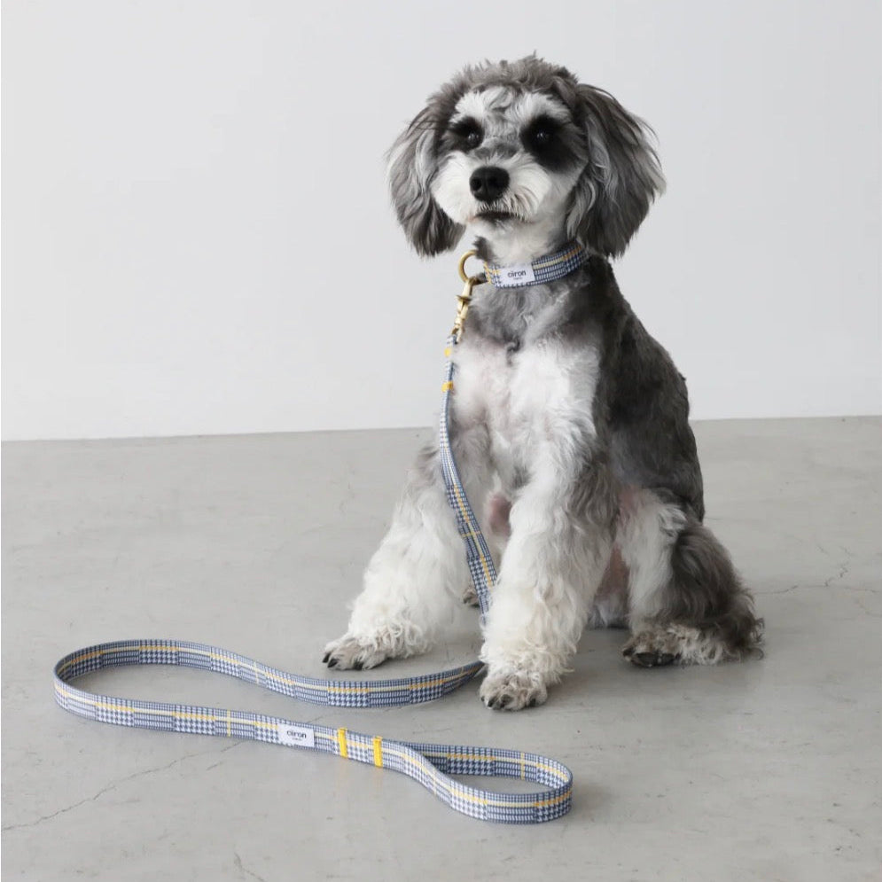 日本原創設計 手持牽繩/項圈