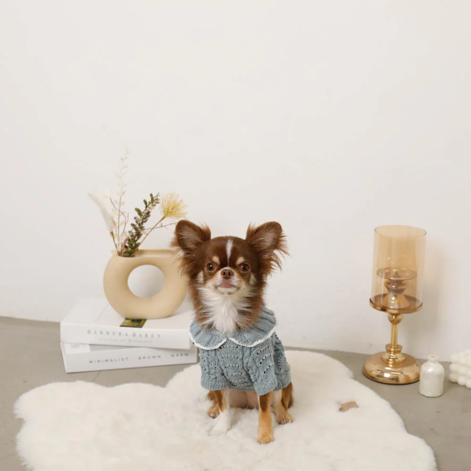 荷葉領扇紋針織寵物上衣