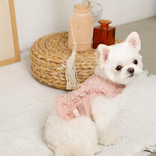 柔棉蕾絲透氣胸背帶+牽繩SET