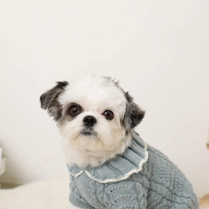 荷葉領扇紋針織寵物上衣