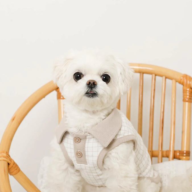 小狗刺繡涼感格紋Polo