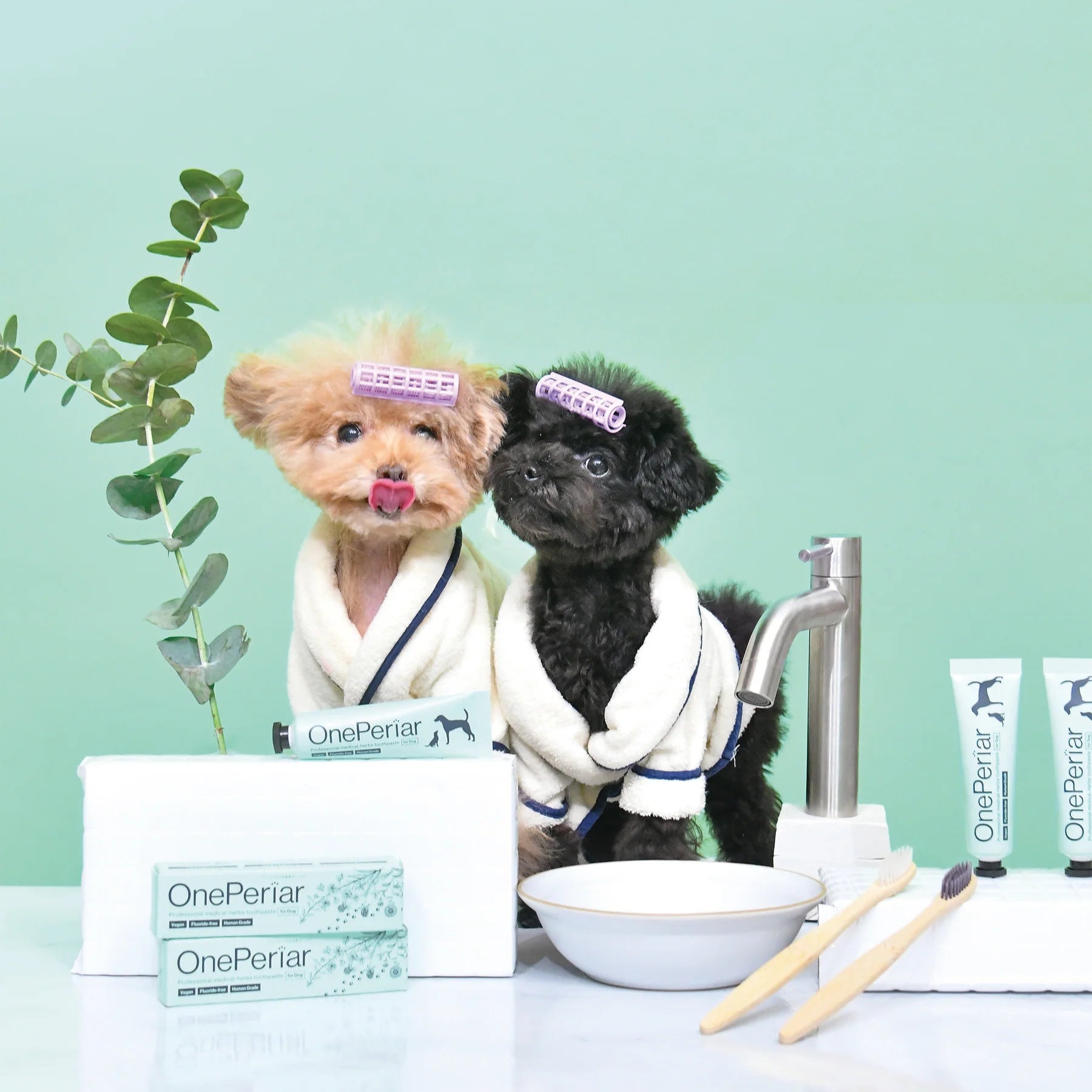 日本One Peirar天然植萃犬用口腔潔牙凝膠