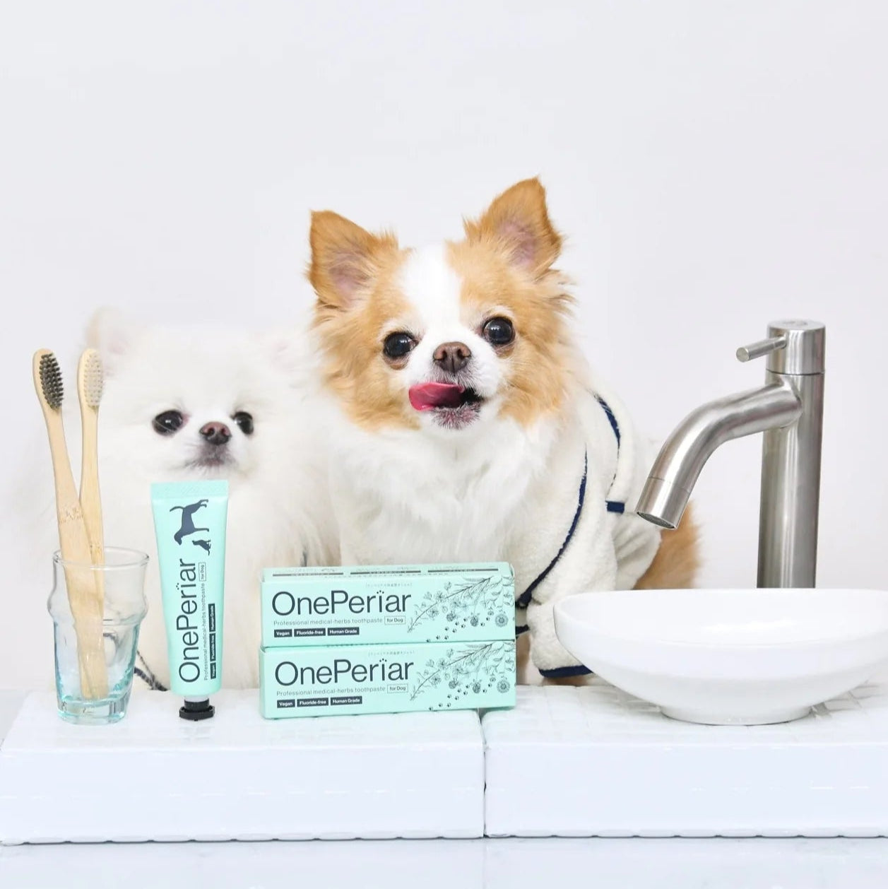 日本One Peirar天然植萃犬用口腔潔牙凝膠
