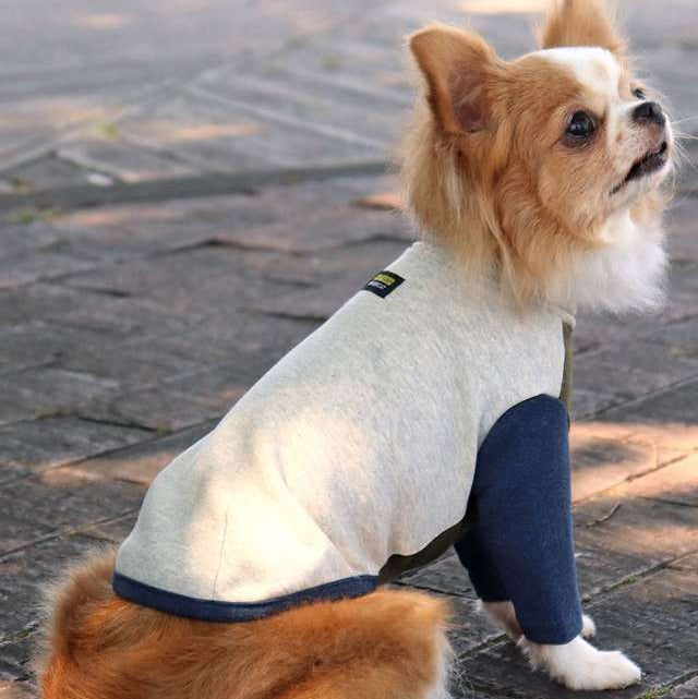 柔感拼色高領長袖寵物服