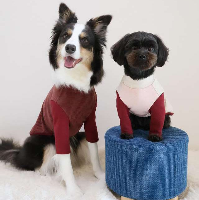 柔感條紋高領長袖寵物服
