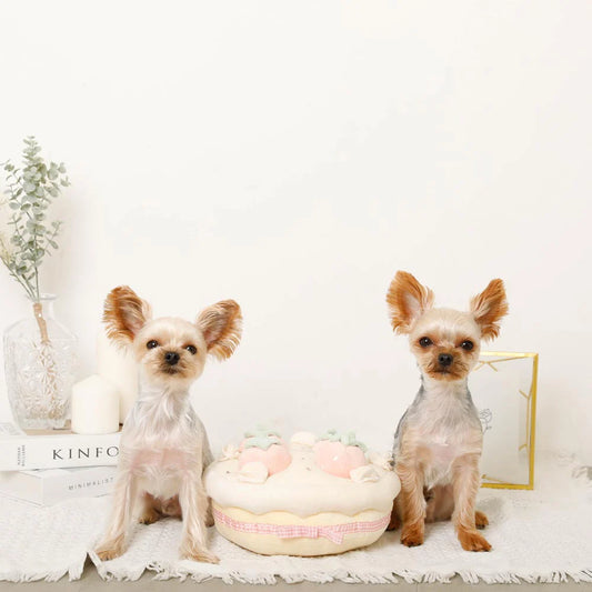 草莓圓蛋糕嗅聞互動玩具