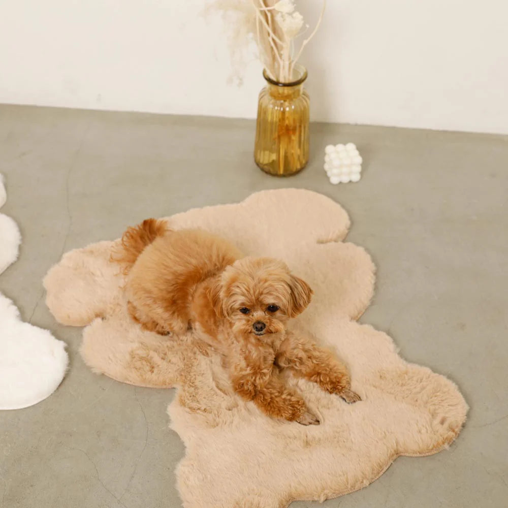 熊熊造型居家地墊