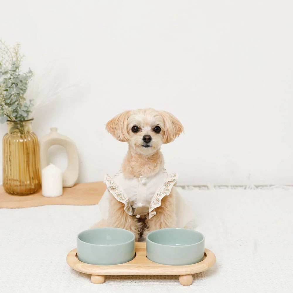 圓角木腳陶瓷寵物餐碗
