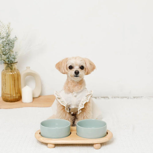 圓角木腳陶瓷寵物餐碗