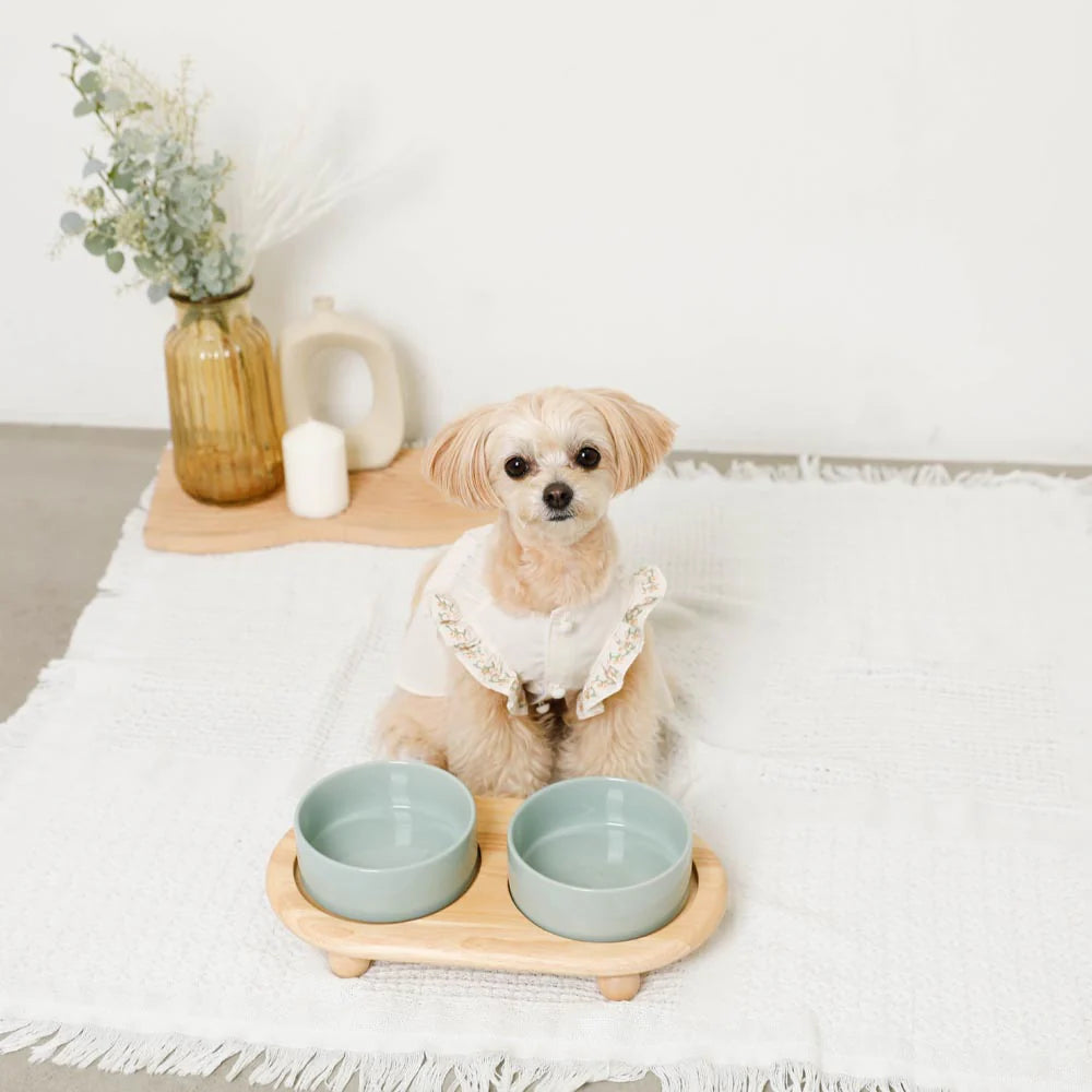 圓角木腳陶瓷寵物餐碗