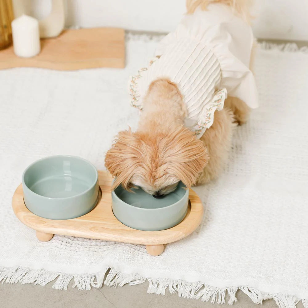 圓角木腳陶瓷寵物餐碗