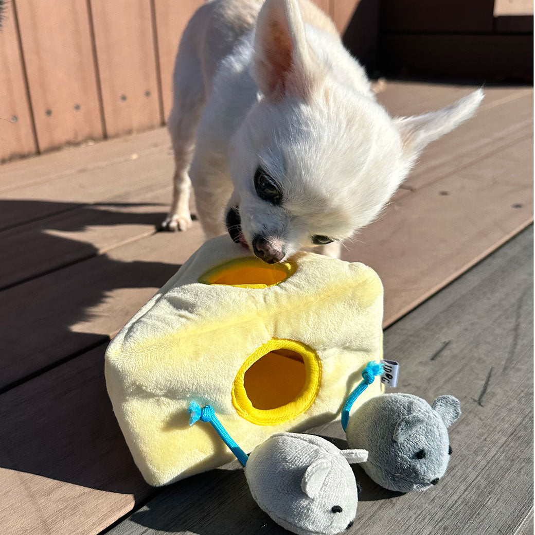 嗅聞互動玩具｜起司小鼠沙沙啾啾組
