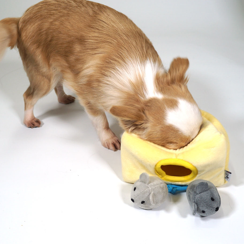 嗅聞互動玩具｜起司小鼠沙沙啾啾組