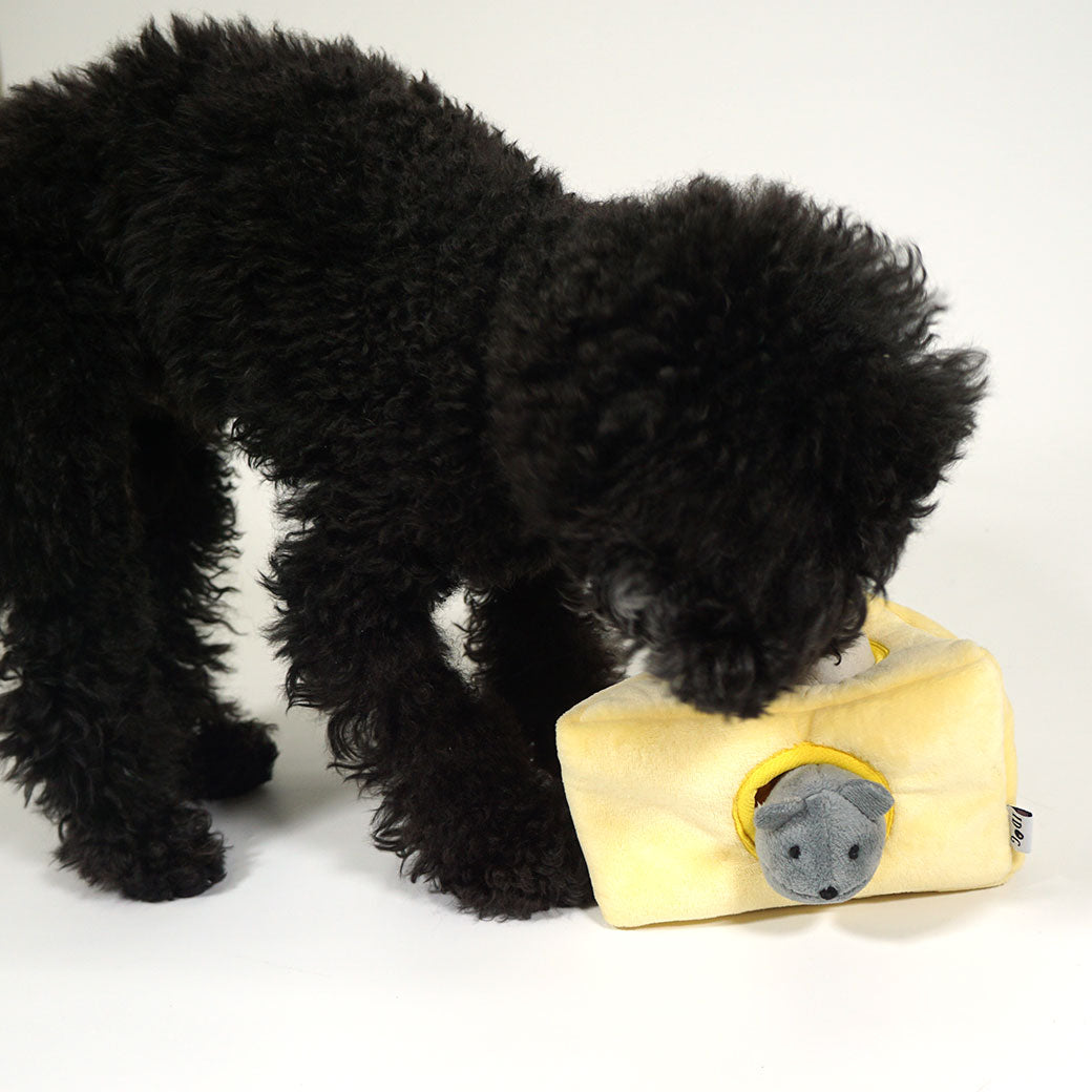 嗅聞互動玩具｜起司小鼠沙沙啾啾組