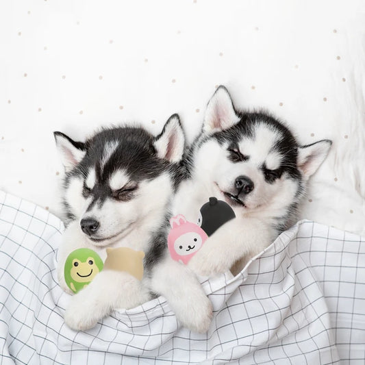 動物造型發聲橡膠寵物玩具