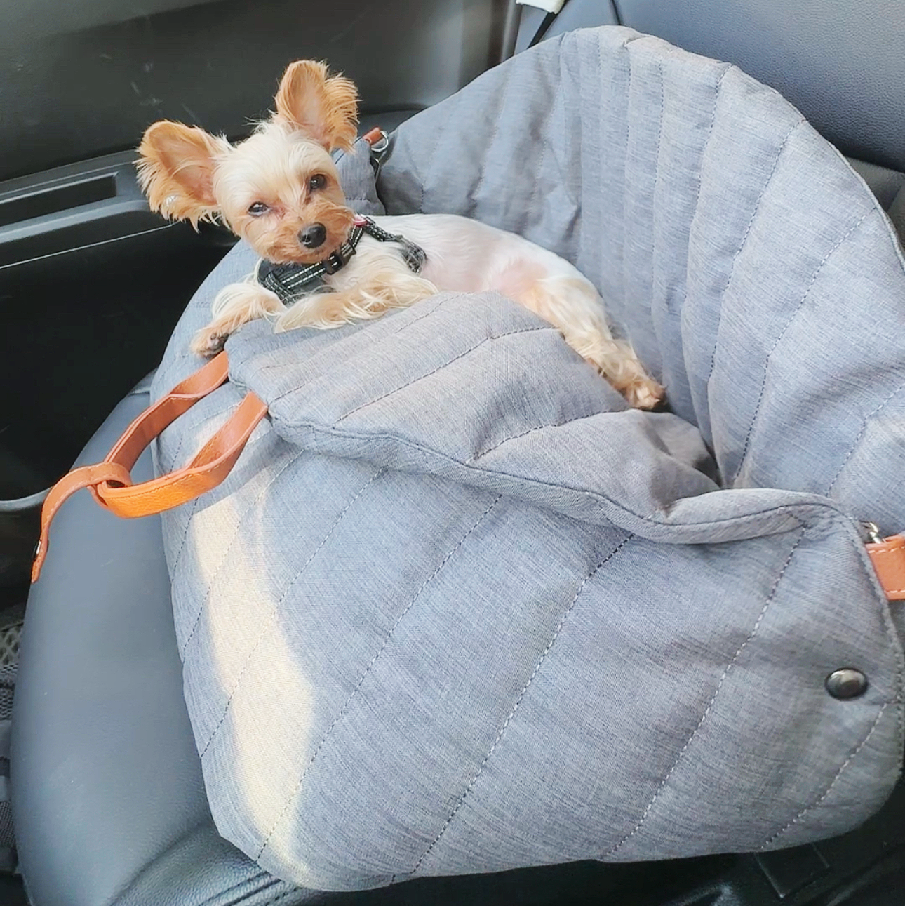 LUXE安心旅寵兩用包床