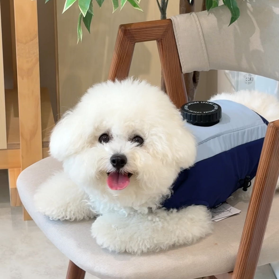 冰囊式抗暑降溫背心
