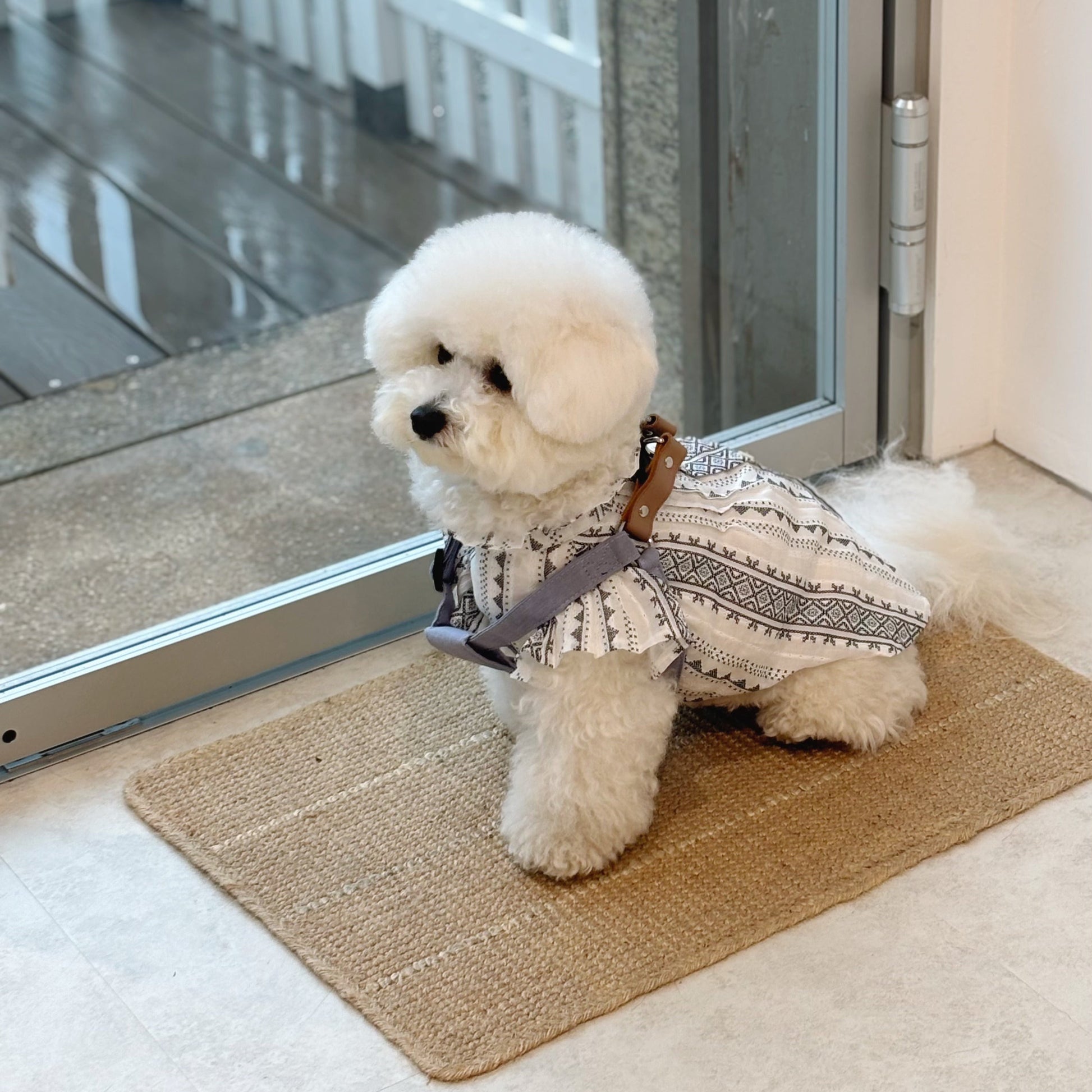 日製刺繡荷葉邊寵物上衣