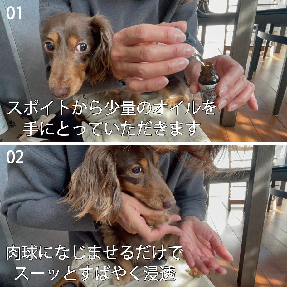 無添加寵物天然護膚油